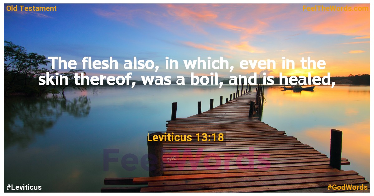 Leviticus 13:18