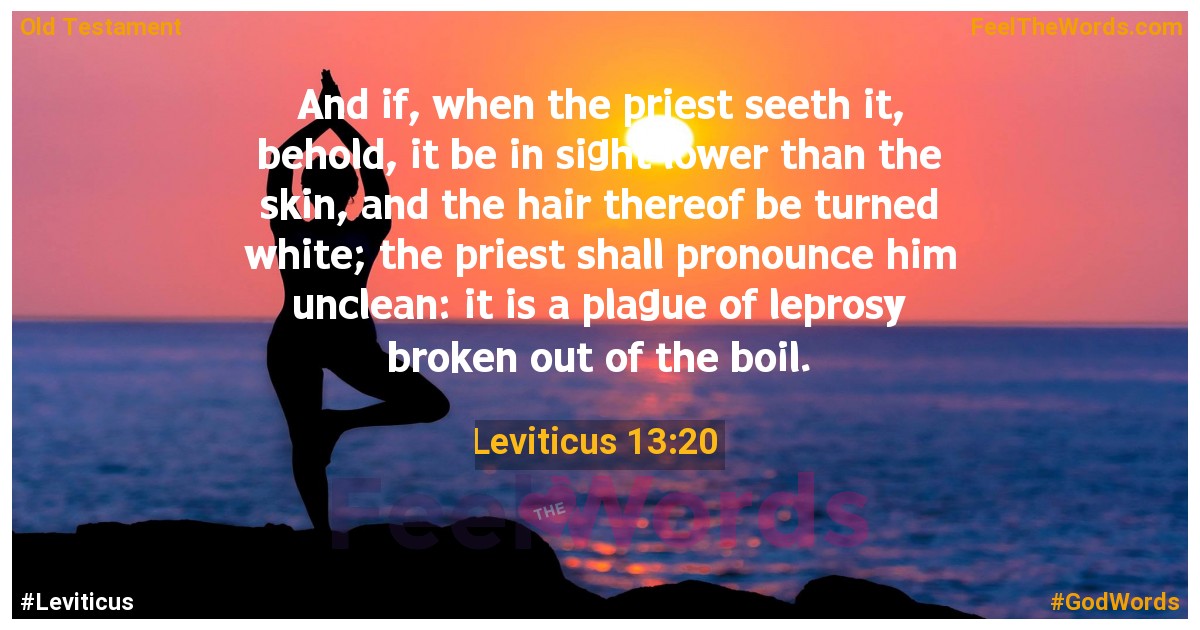 Leviticus 13:20