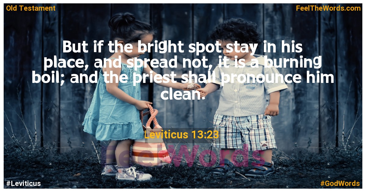 Leviticus 13:23