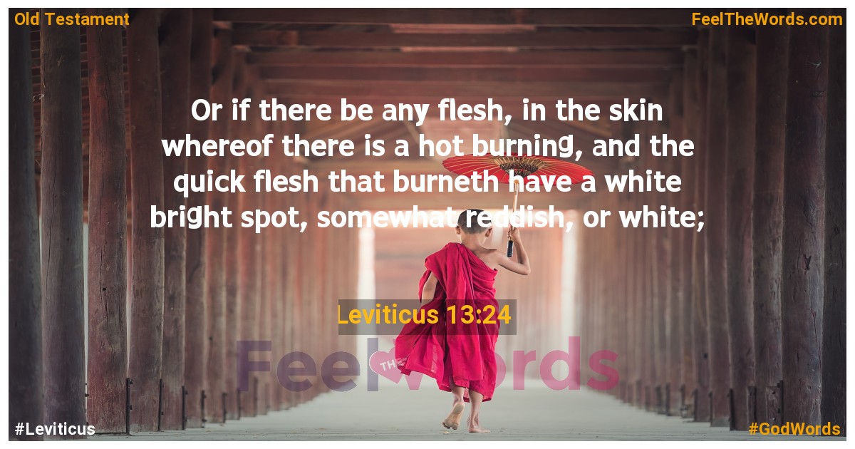 Leviticus 13:24