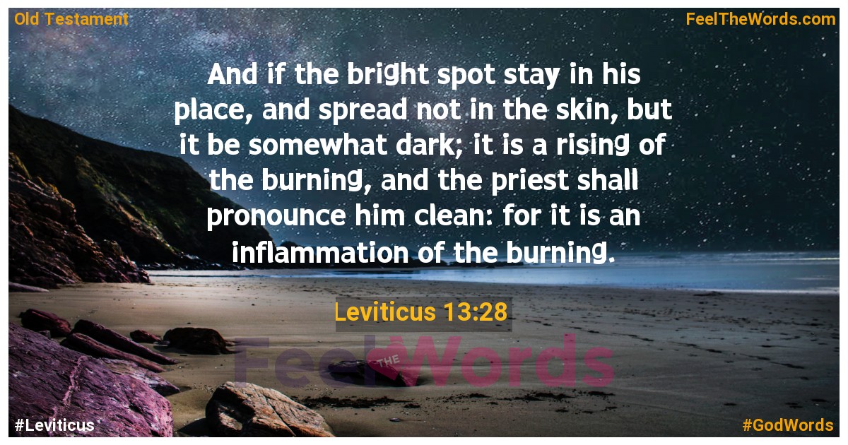 Leviticus 13:28