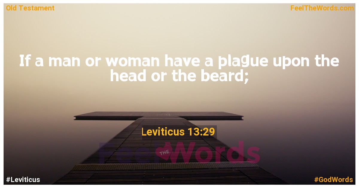 Leviticus 13:29