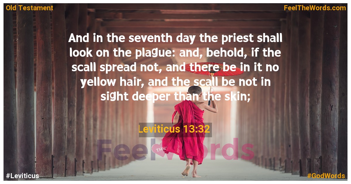 Leviticus 13:32