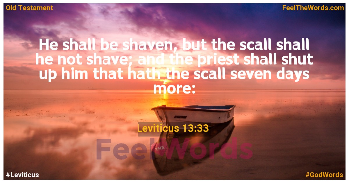 Leviticus 13:33