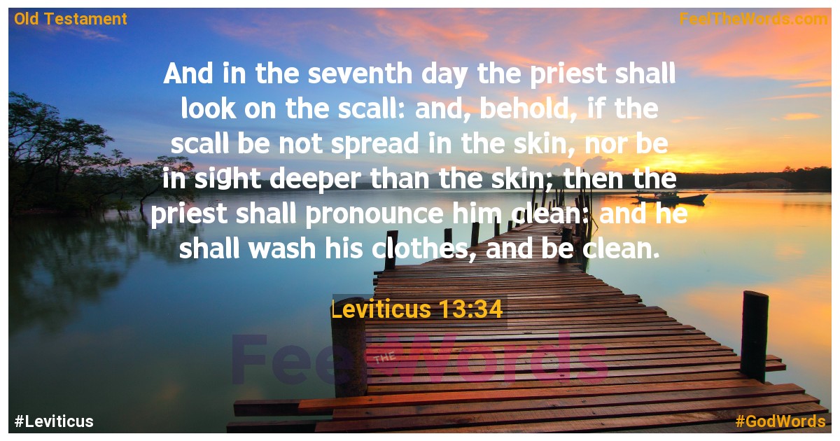 Leviticus 13:34
