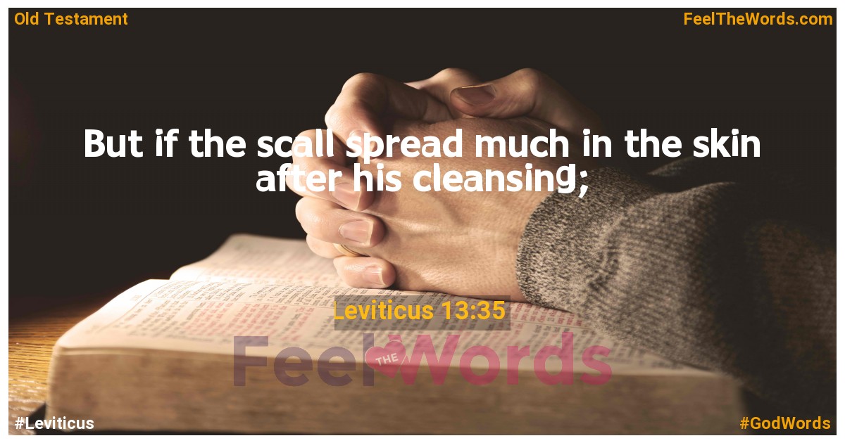 Leviticus 13:35