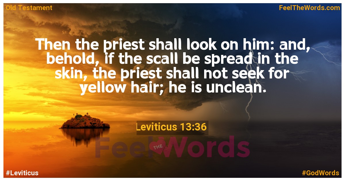 Leviticus 13:36