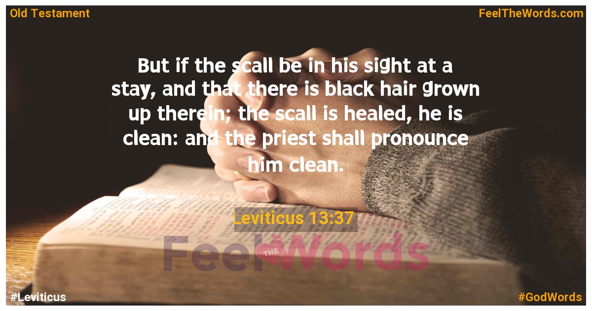 Leviticus 13:37