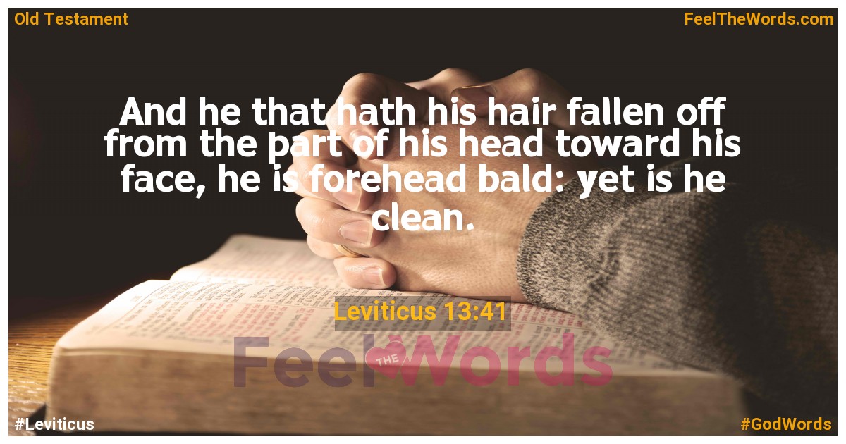 Leviticus 13:41