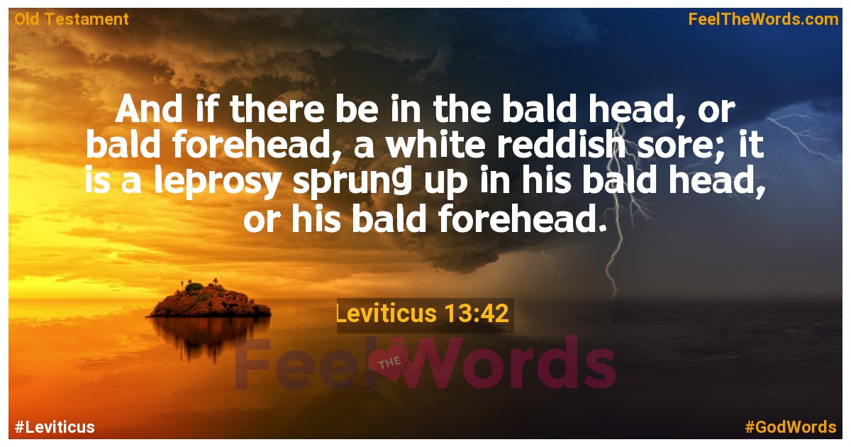 Leviticus 13:42