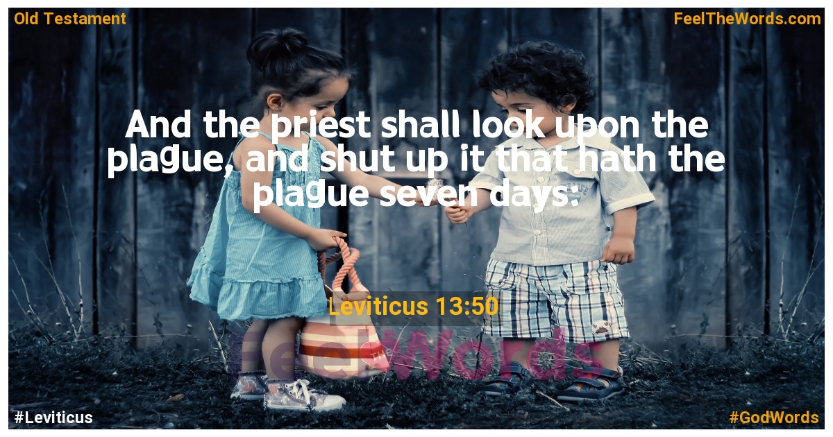 Leviticus 13:50