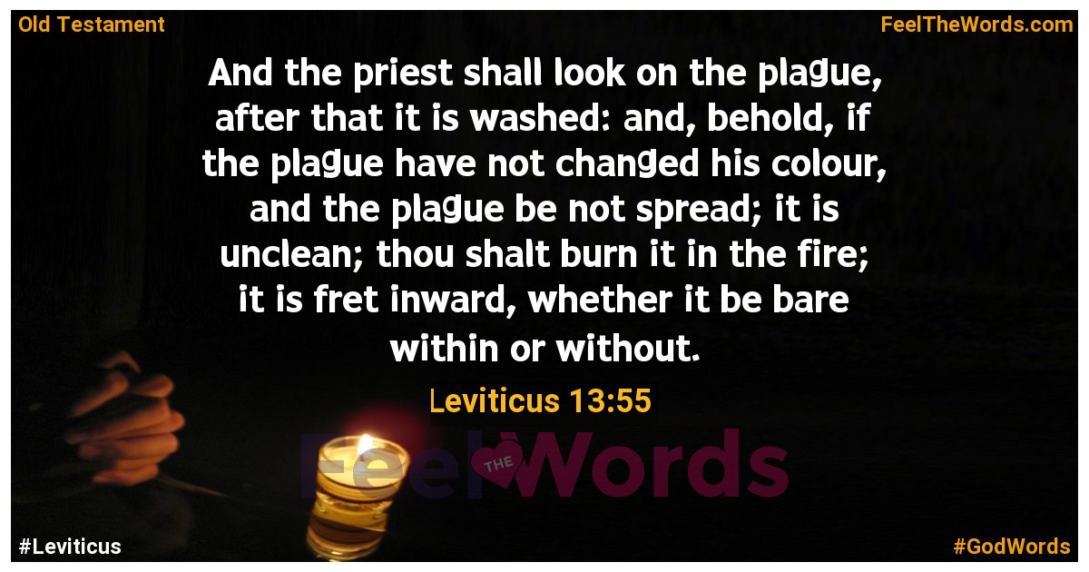 Leviticus 13:55