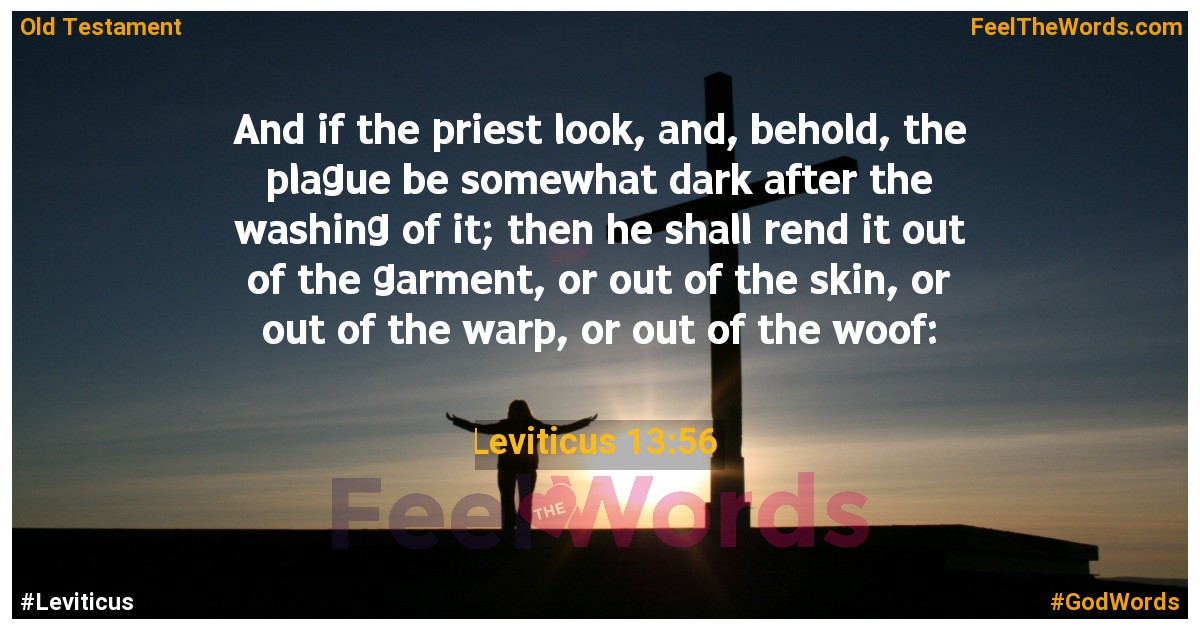 Leviticus 13:56