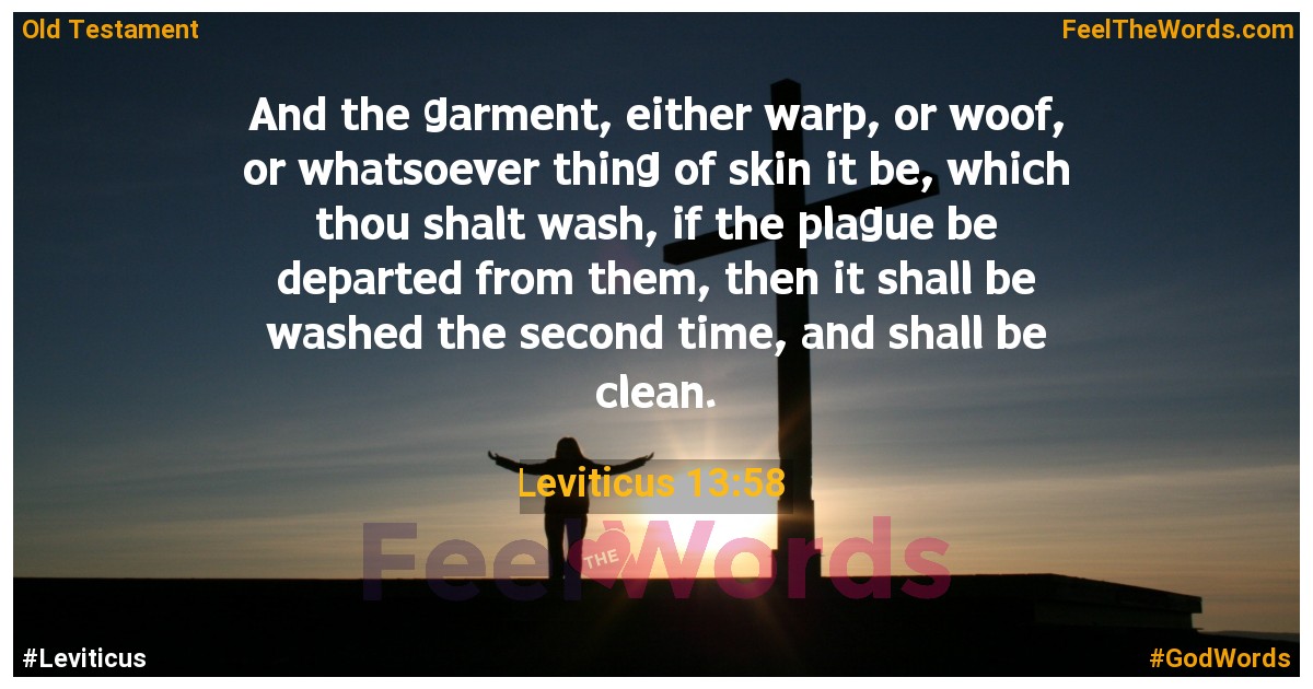 Leviticus 13:58