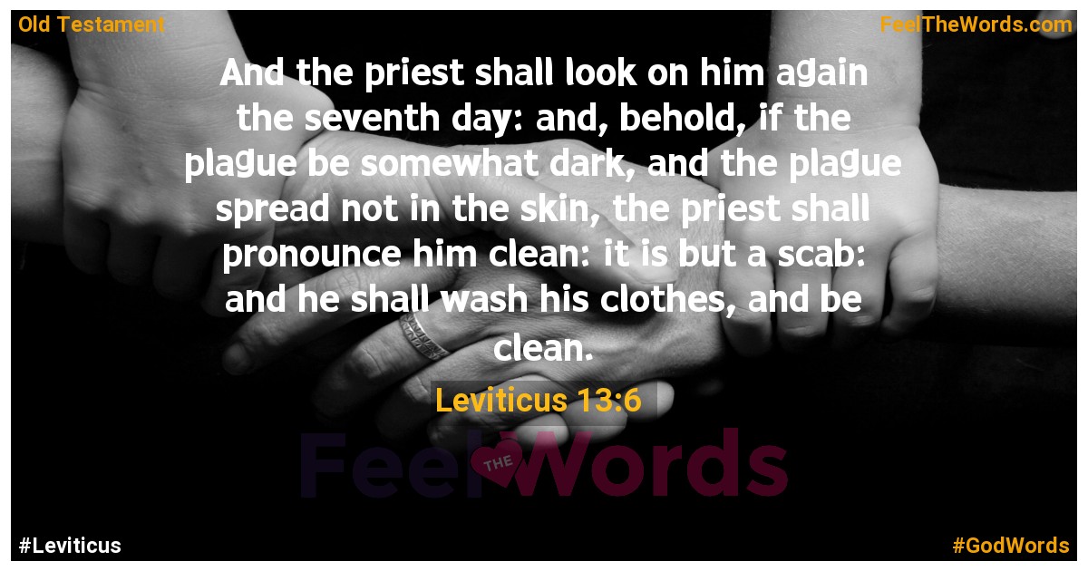 Leviticus 13:6