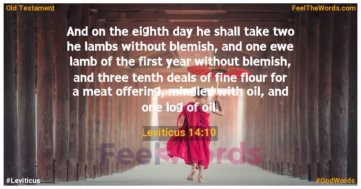 Leviticus 14:10