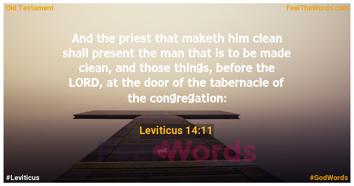 Leviticus 14:11