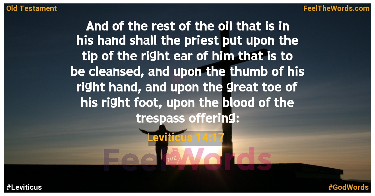 Leviticus 14:17