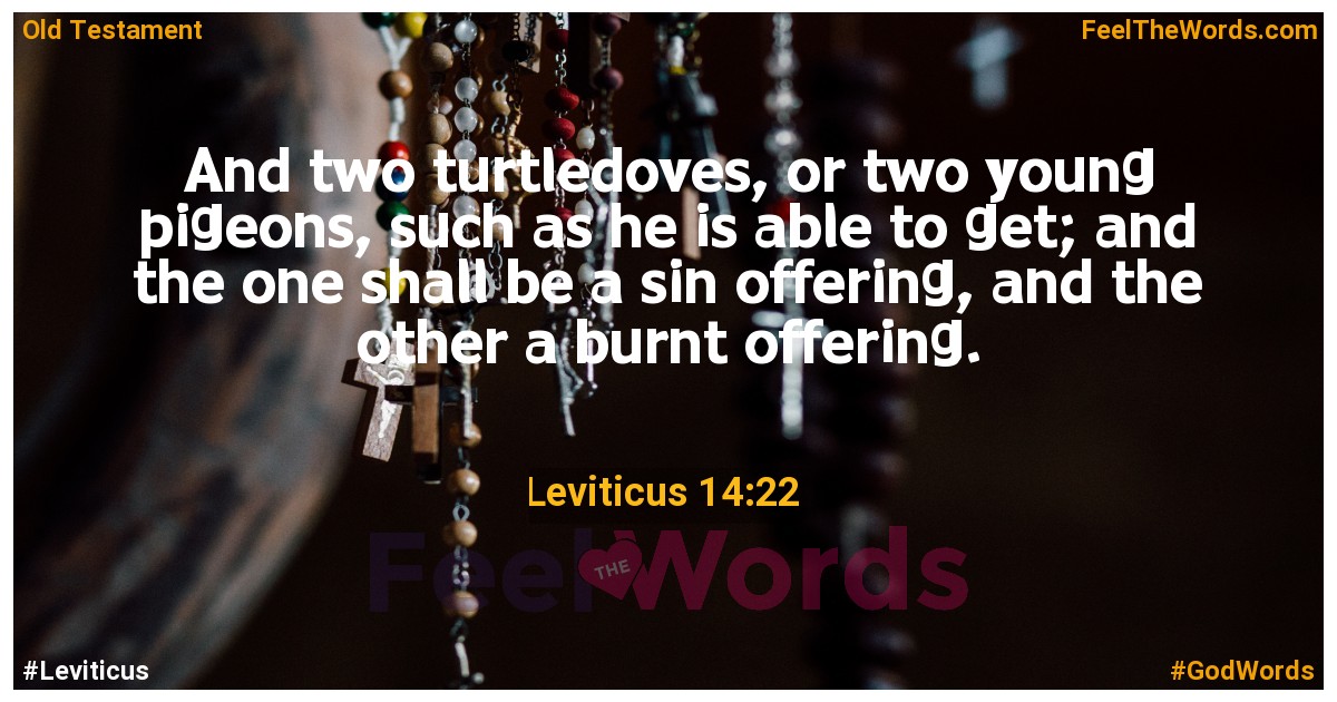 Leviticus 14:22