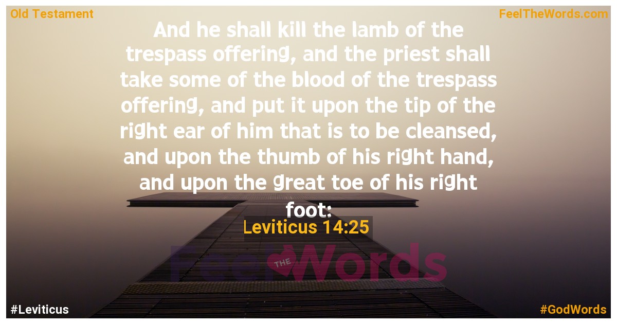 Leviticus 14:25