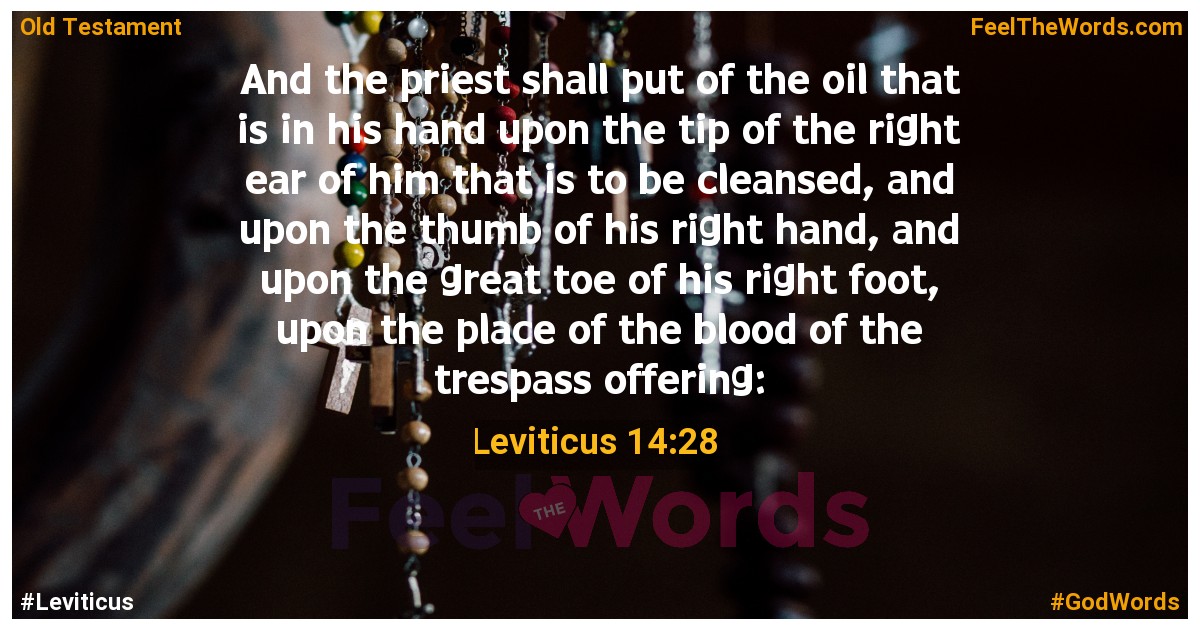 Leviticus 14:28