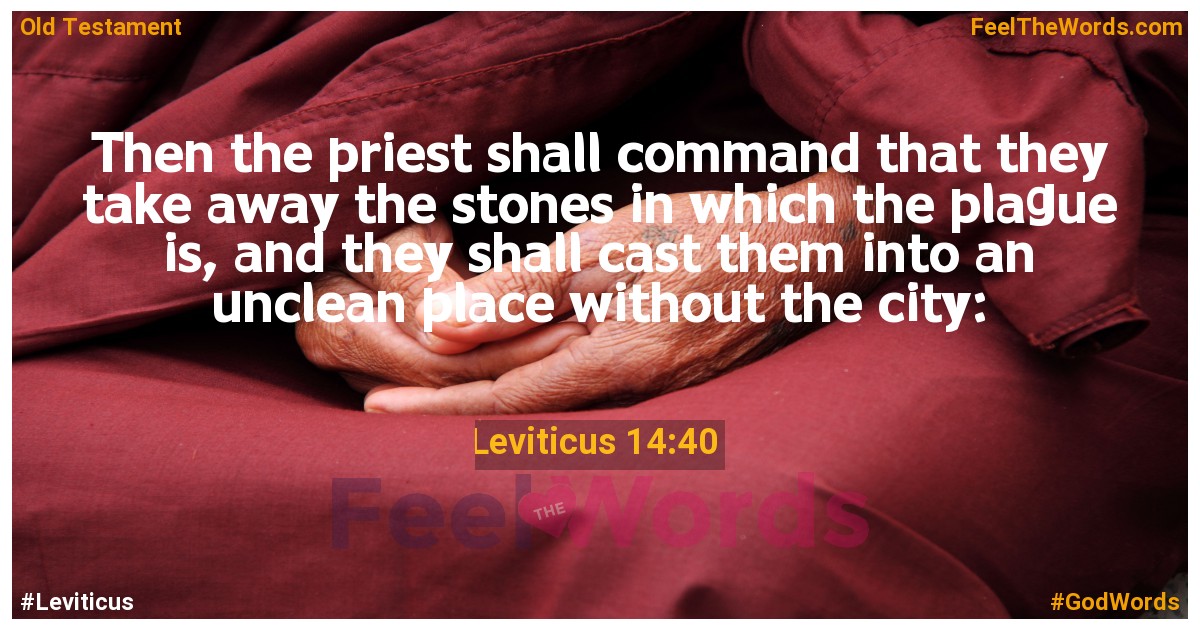 Leviticus 14:40