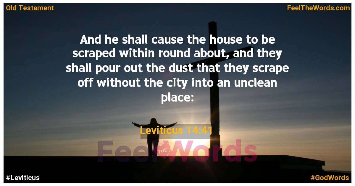 Leviticus 14:41