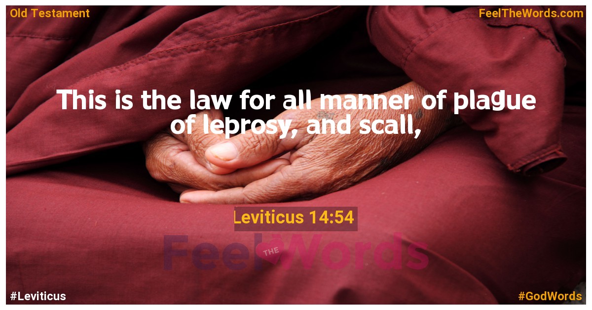 Leviticus 14:54