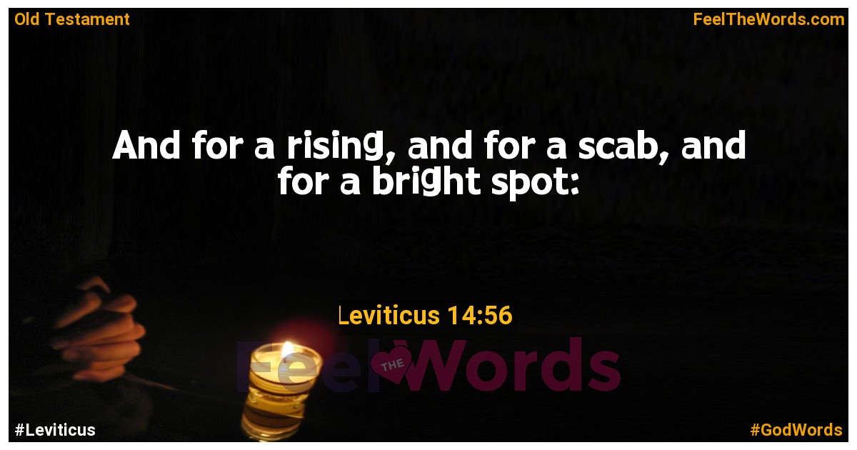 Leviticus 14:56