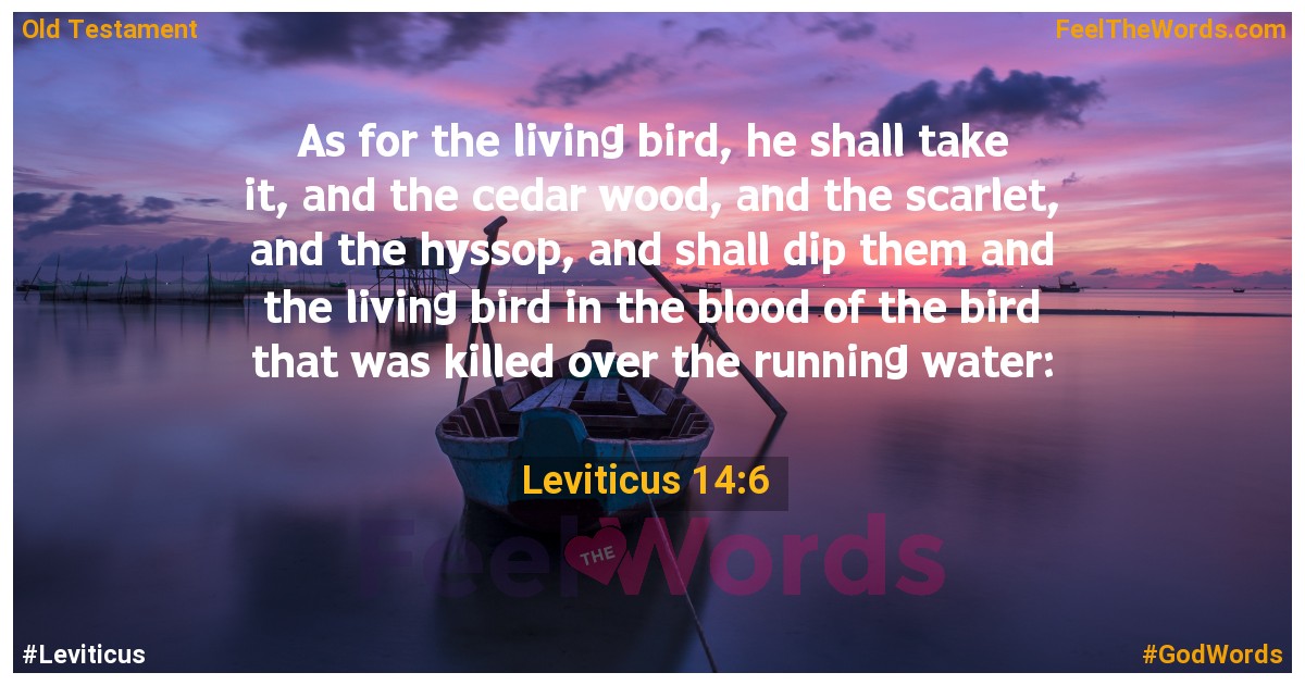 Leviticus 14:6