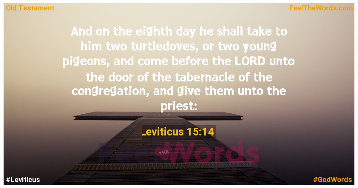 Leviticus 15:14