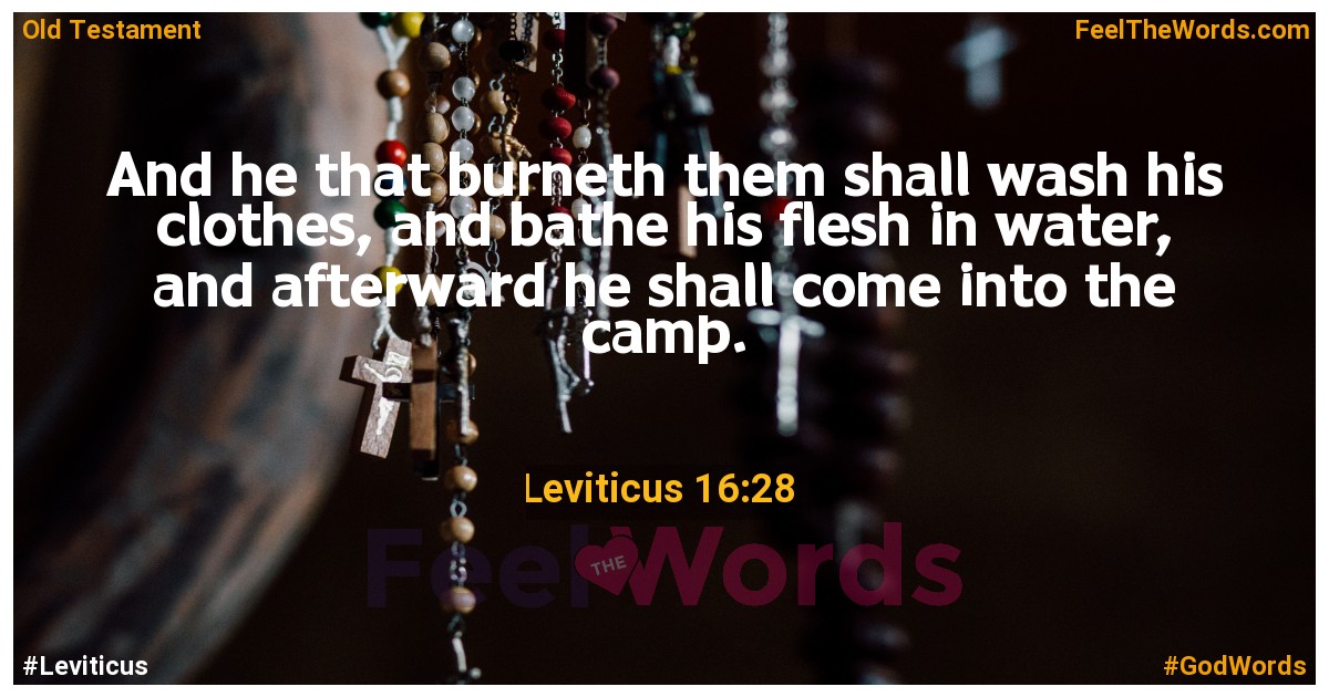 Leviticus 16:28