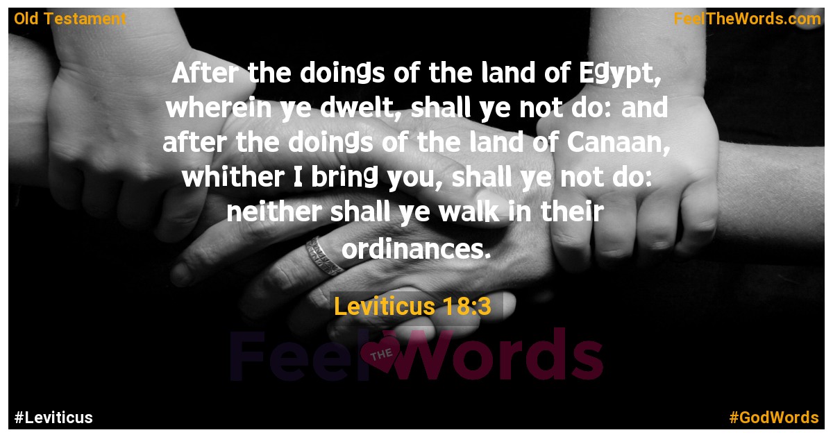 Leviticus 18:3