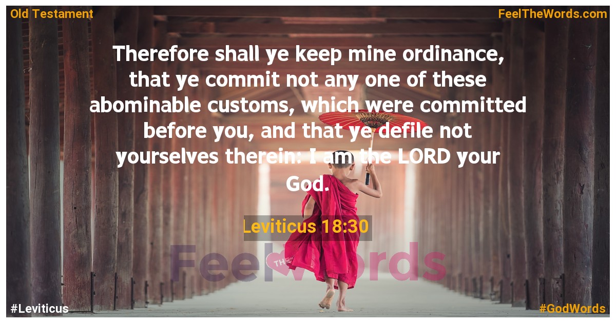 Leviticus 18:30