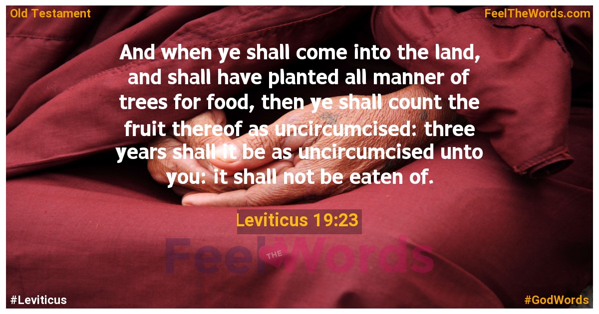 Leviticus 19:23