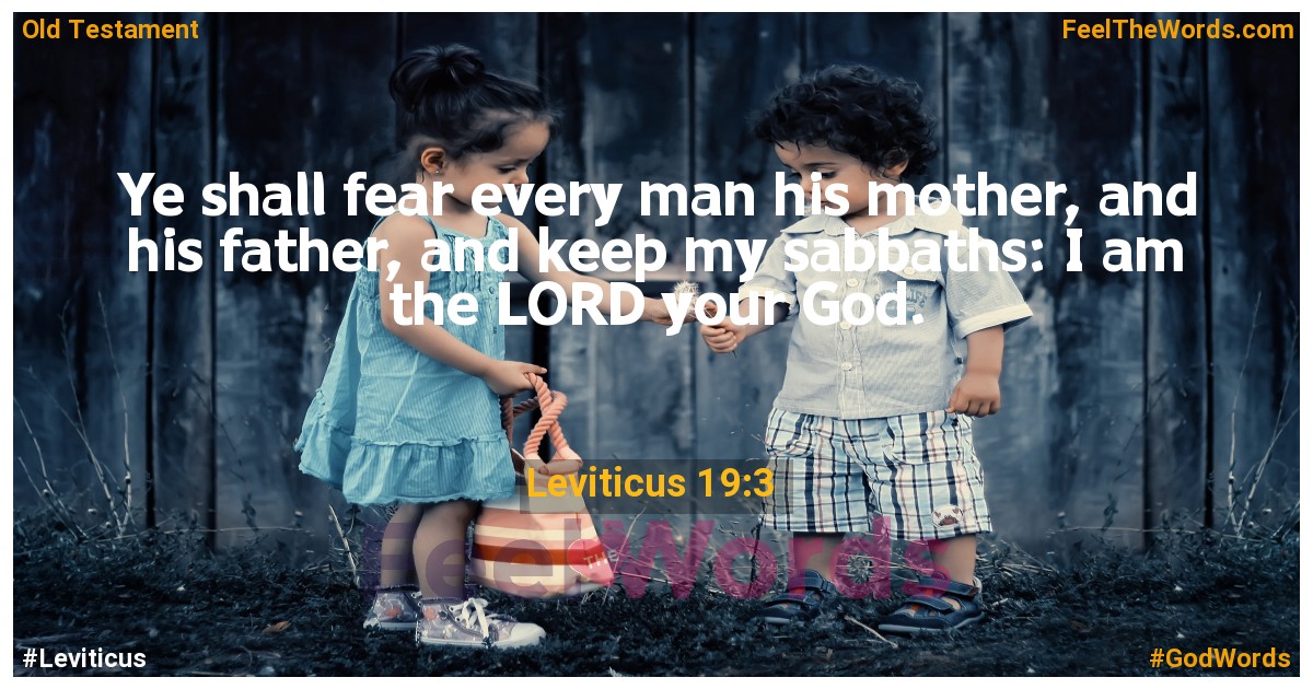 Leviticus 19:3