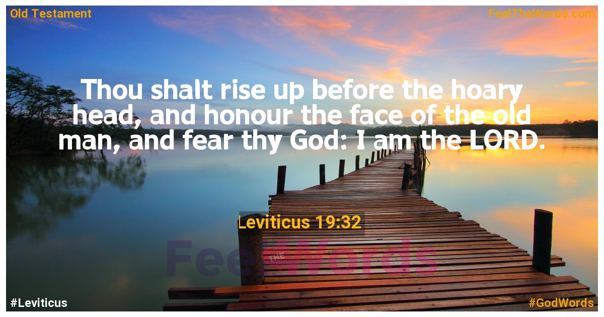 Leviticus 19:32