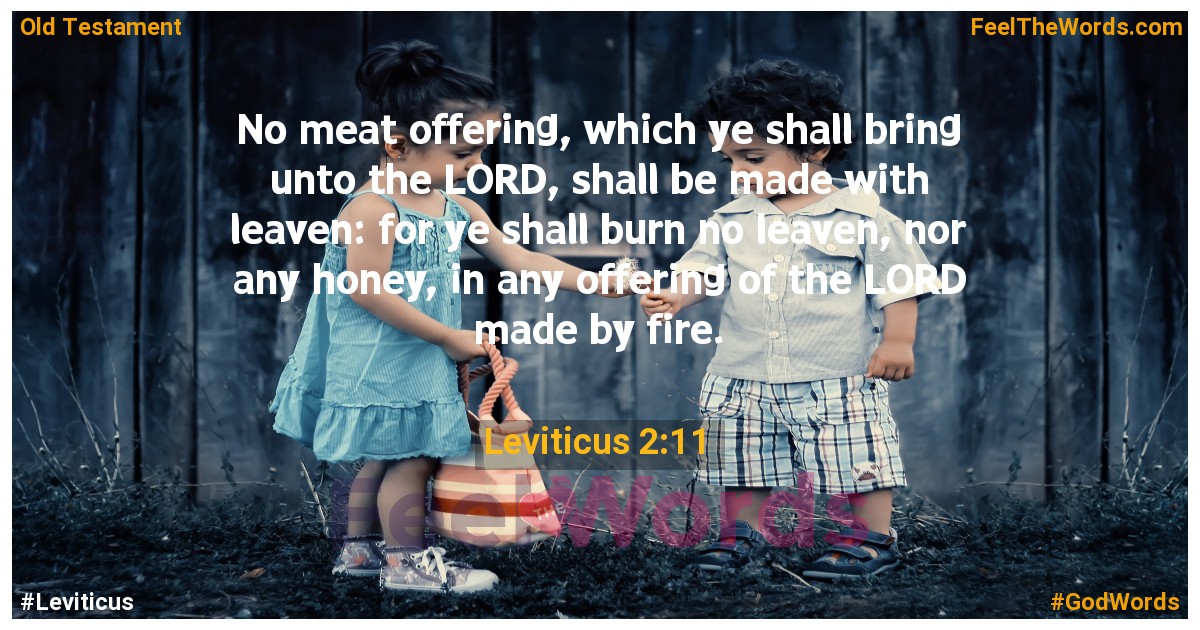 Leviticus 2:11