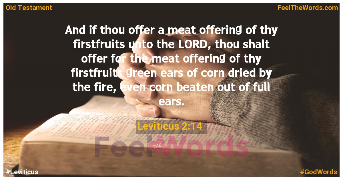 Leviticus 2:14