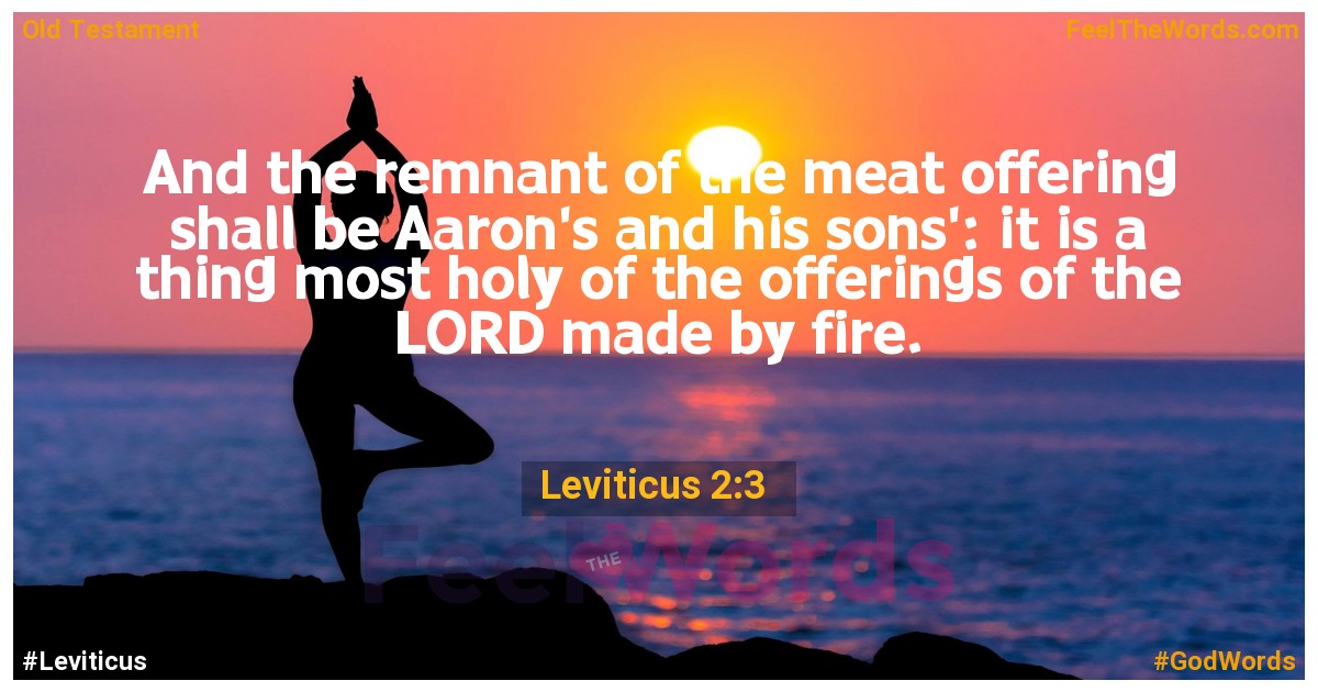 Leviticus 2:3