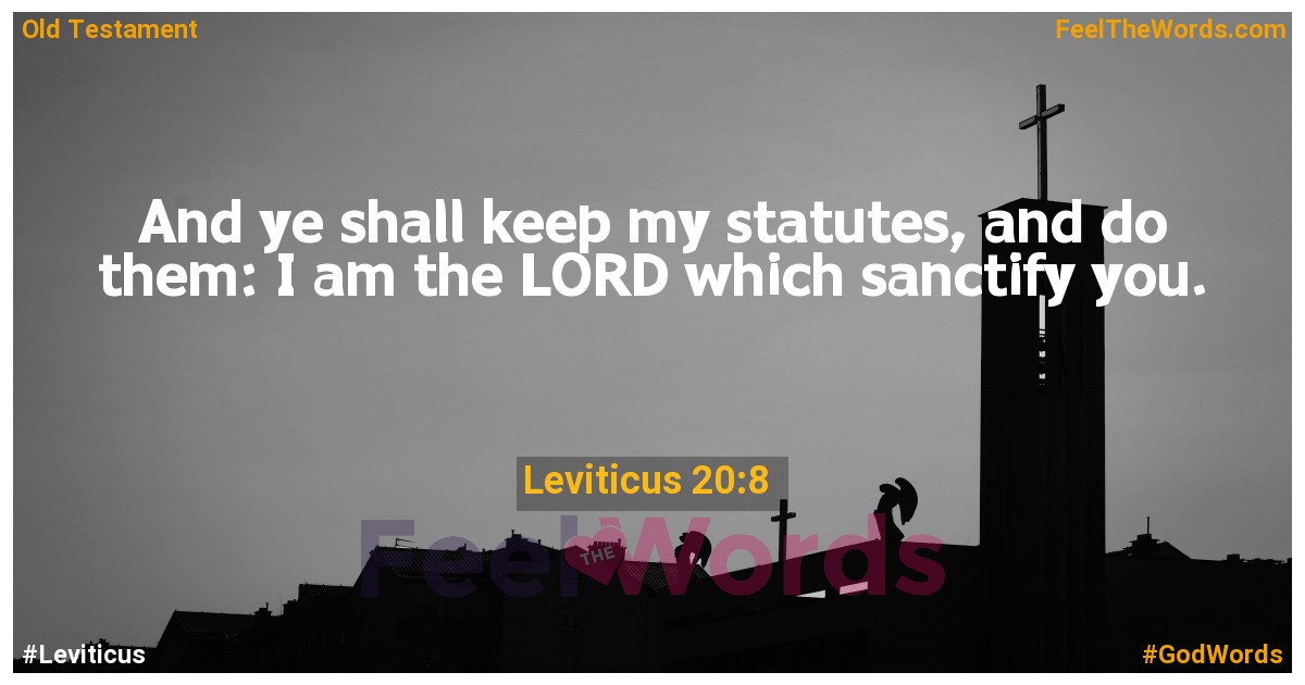 Leviticus 20:8