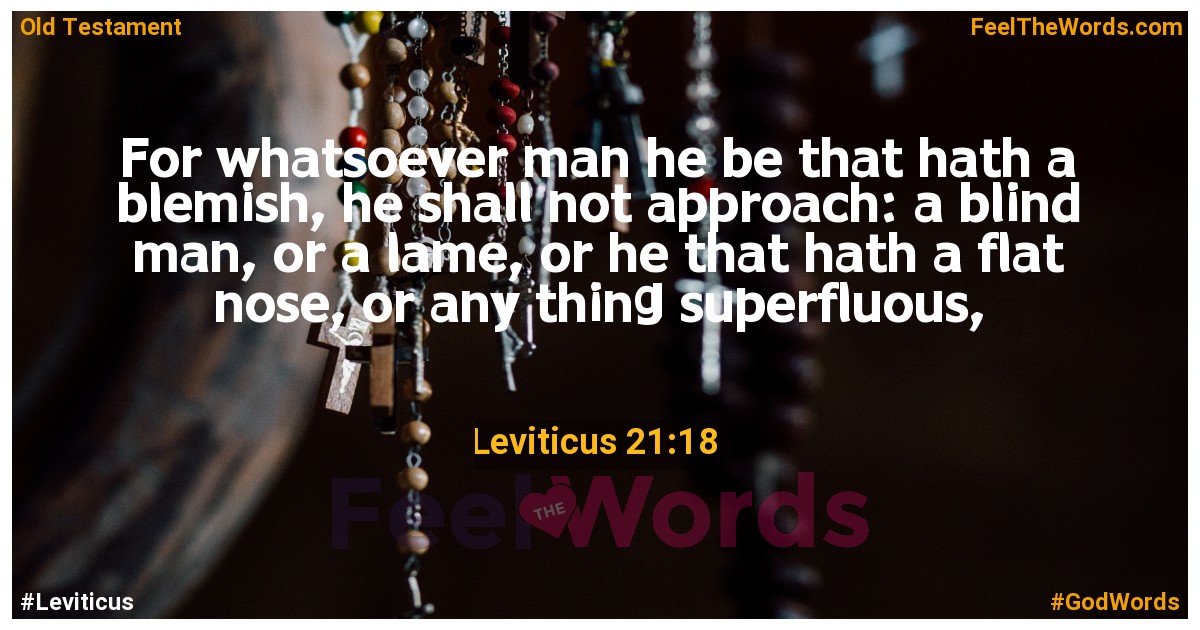 Leviticus 21:18
