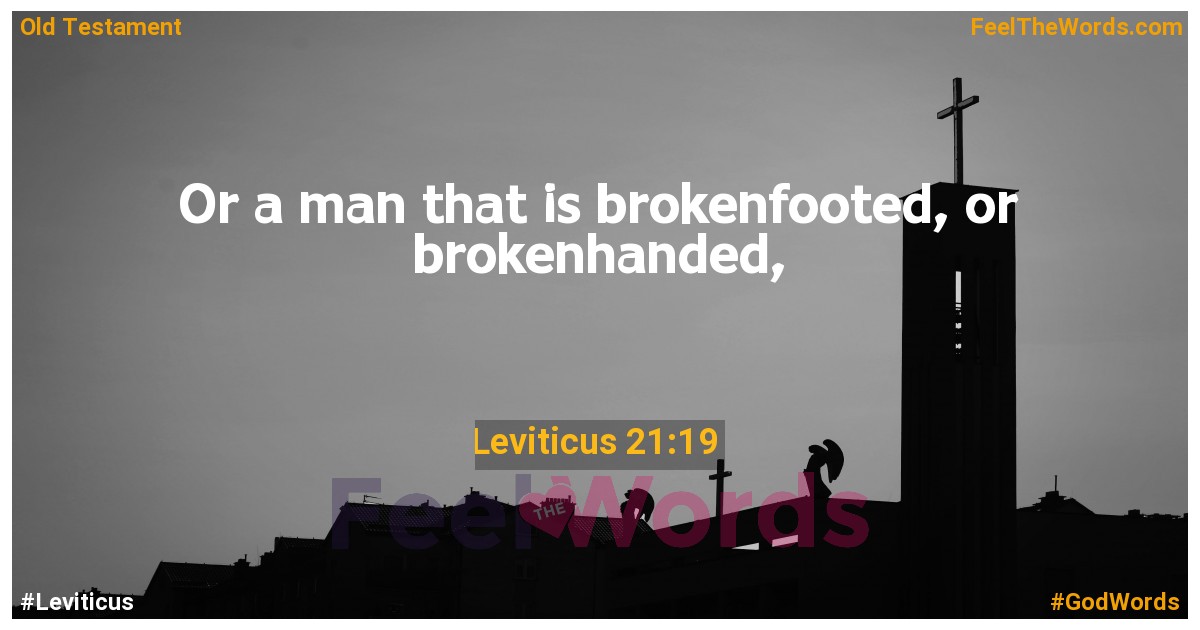 Leviticus 21:19