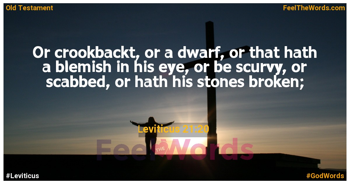 Leviticus 21:20