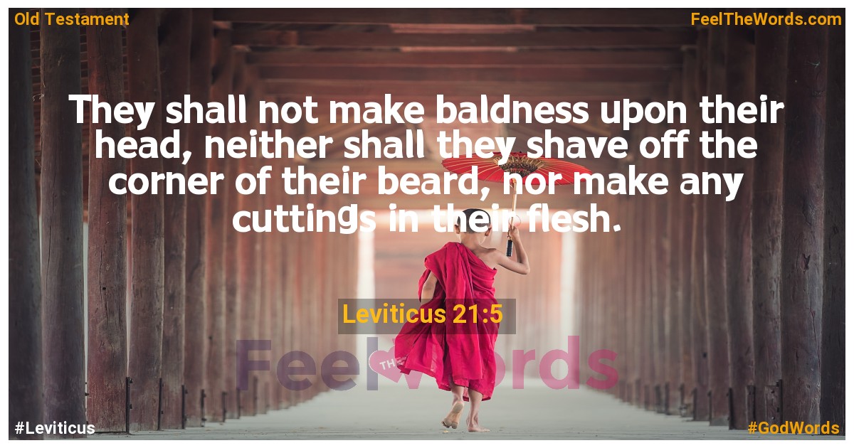 Leviticus 21:5