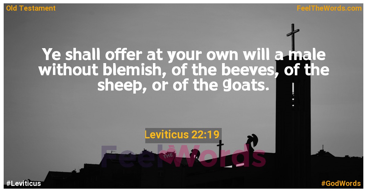 Leviticus 22:19