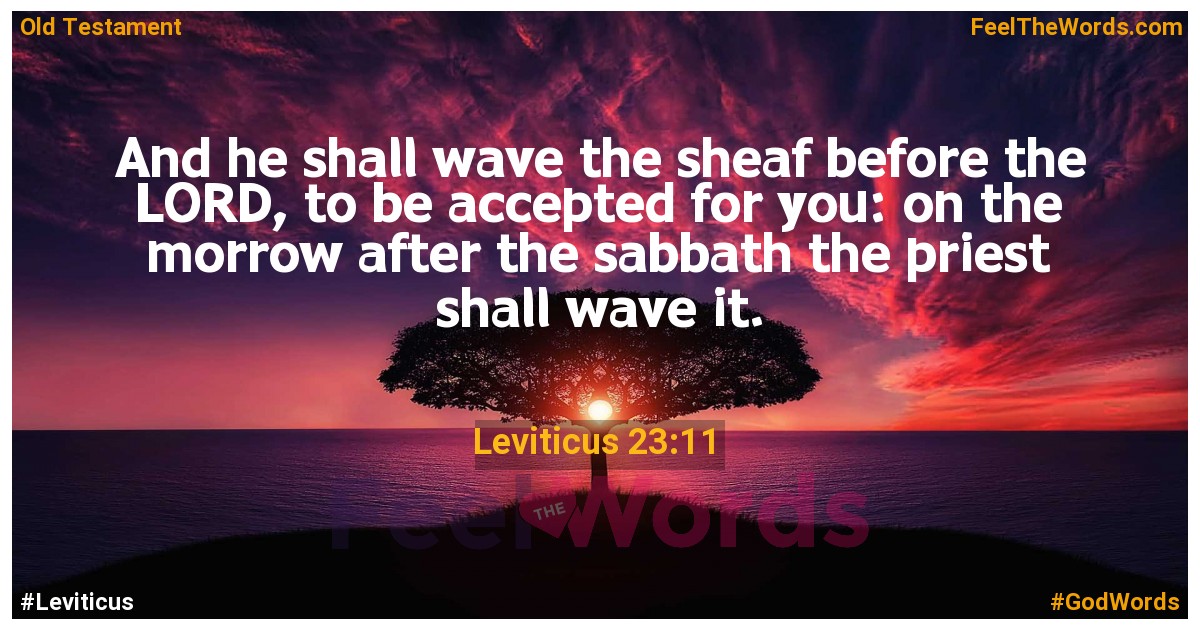 Leviticus 23:11