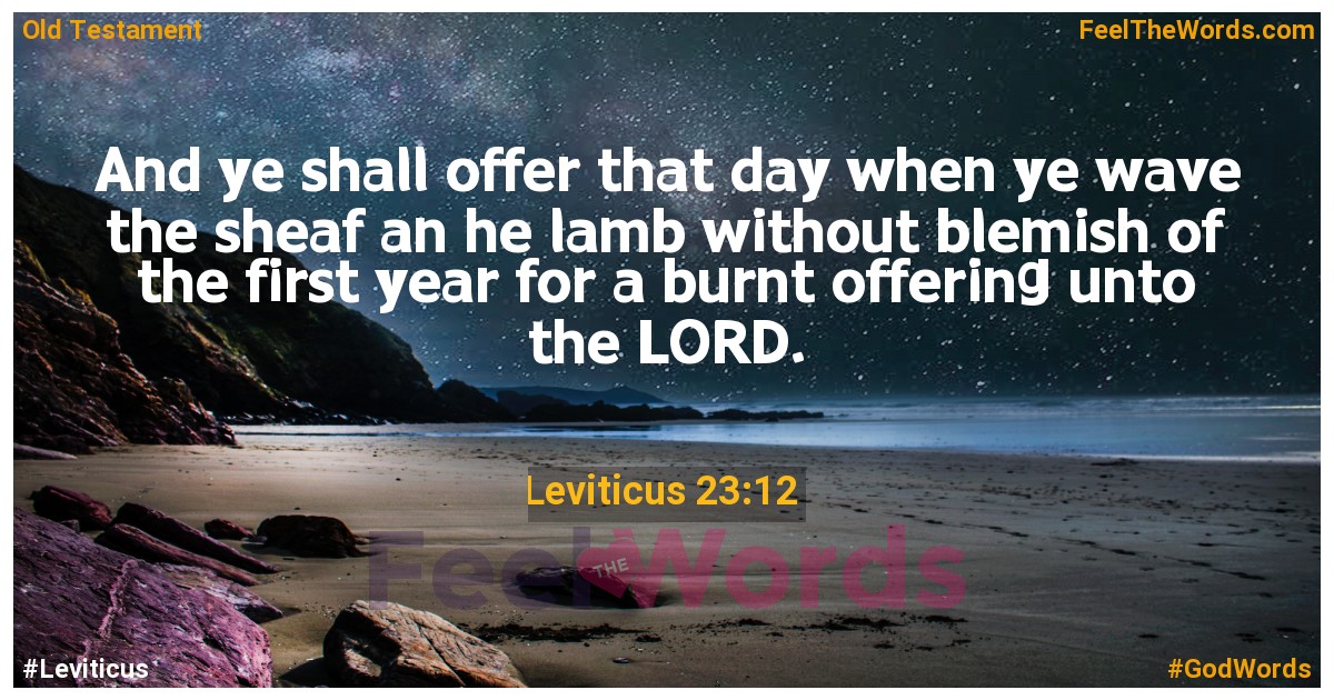 Leviticus 23:12