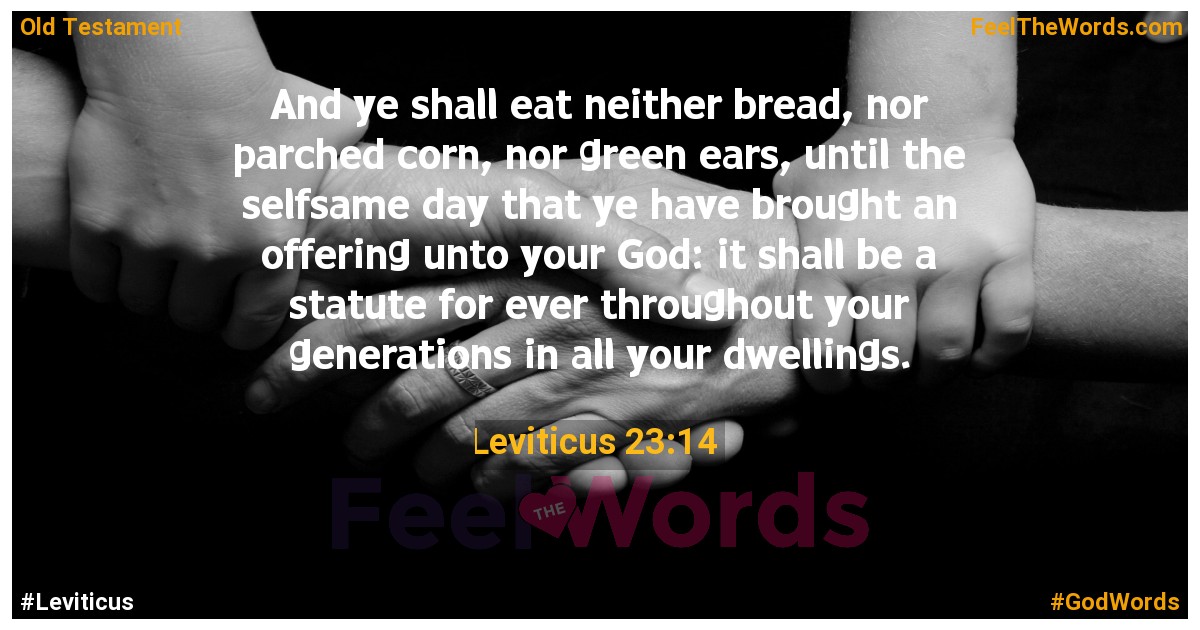 Leviticus 23:14