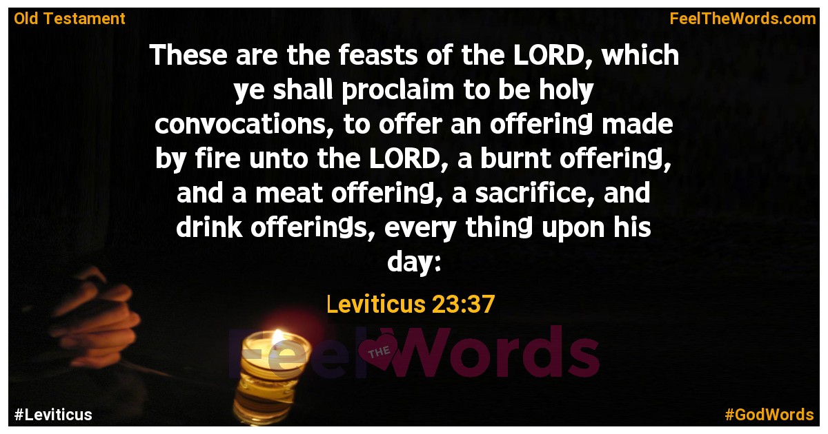 Leviticus 23:37